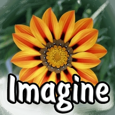 Imagine 1.1.4 + Portable + Plugins