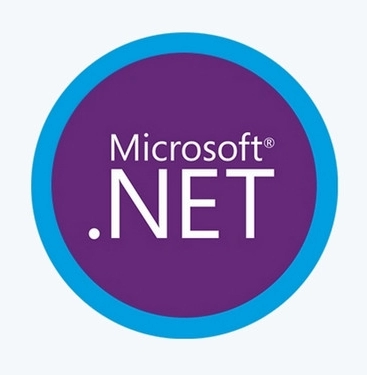 Microsoft .NET 5.0.17 Runtime